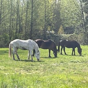 Meet your Posher, Cheryl